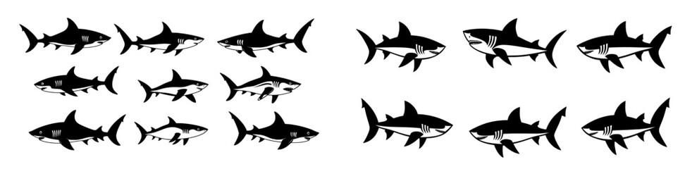 The modern icon logo features a shark, dolphin, whale, and ocean wave in an illustration of cartoon characters and graphic design