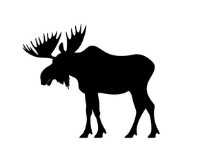 The modern illustration shows a moose in a black silhouette profile