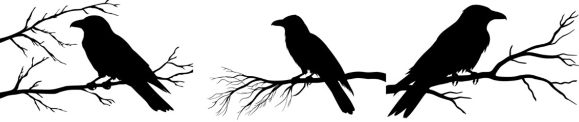 The silhouette of a raven perched on a bare branch is a modern design symbolizing the ominous and mysterious atmosphere of Halloween