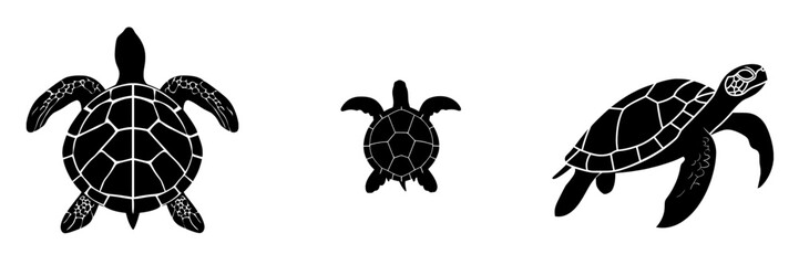 A modern illustration of a sea turtle is depicted as a graphic icon, shown in black silhouette isolated on a white background