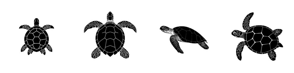 Fototapeta premium A contemporary flat black shape of a sea turtle swimming is set against a white background in isolation