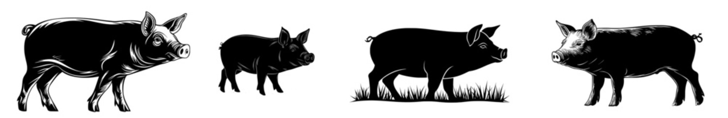 A contemporary pig outline, the pig icon is set against a plain white backdrop