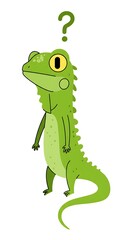 Fototapeta premium Perplexed iguana pondering puzzling possibilities