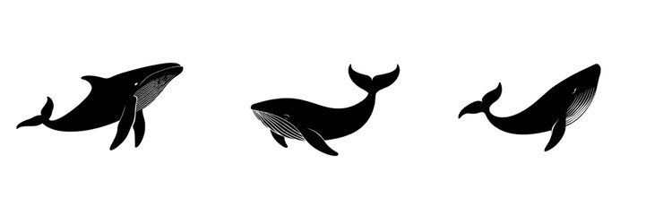 Modern symbol sign illustration of a whale in silhouette line icon form