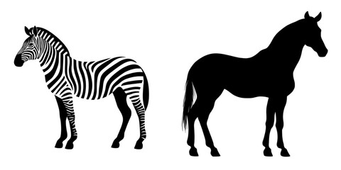 A side view of the plains zebra, Equus quagga, is shown in modern silhouette form, isolated against a white background