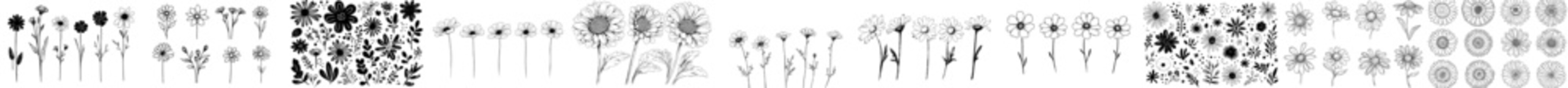 black and white background