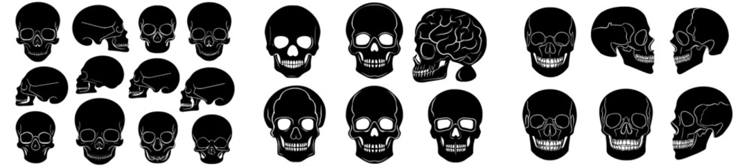 A collection of modern human skull silhouettes is presented in a monochrome line engraving style, isolated on a white background, suitable for print, card, cover, and poster designs