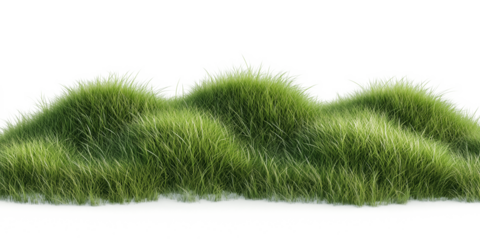  green grass isolated on transparent background,green grass landscape hills for poster banner cover design
