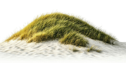 green grass cover sand isolated on transparent background,green grassy hills for poster banner cover design
