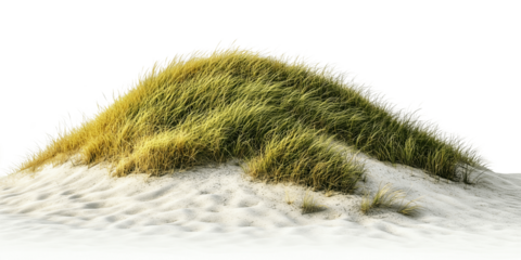 green grass cover sand isolated on transparent background,green grassy hills for poster banner cover design