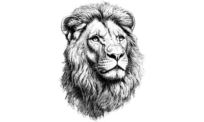 Retro Wild Cat Line Art, Lion with Mane Engraving, Vintage Animal Etching, Monochrome Rustic Fauna Drawing, Detailed Nature Illustration, Old Style Wildlife Print, classic wildlife art