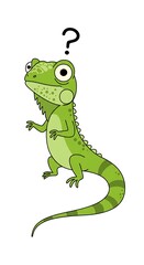 Fototapeta premium Puzzled iguana contemplates existence under a question mark