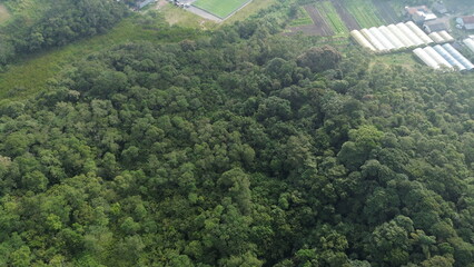 A floresta da mata atlântica, em São Bernardo do Campo, estado de São Paulo, Brasil, em uma imagem áerea obtida com drone. © Ricardo_S_Levenhagen