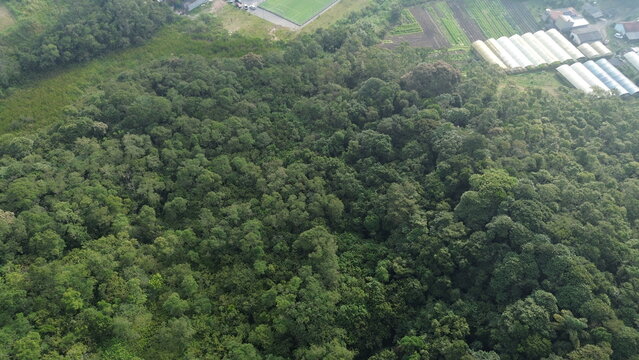 A floresta da mata atl&acirc;ntica, em S&atilde;o Bernardo do Campo, estado de S&atilde;o Paulo, Brasil, em uma imagem &aacute;erea obtida com drone.