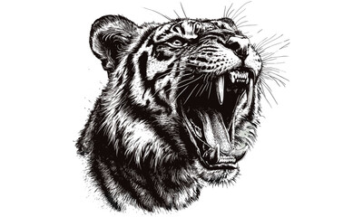 Hand-drawn Vintage Tiger Roaring Loudly, Monochrome Big Cat Line Art, Jungle Sketch, Rustic Safari Wall Decor, Old Engraving Style Animal Etching, Wildlife Illustration, Retro Nature Print
