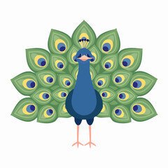 Cute Peacock Simple Vector – Colorful and Adorable Bird Illustration for Design Projects