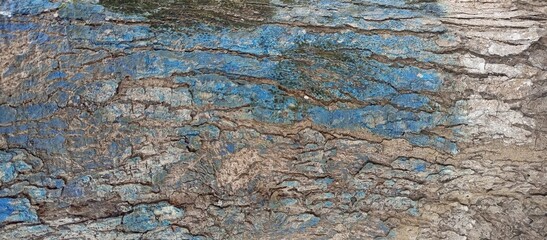 Abstract Weathered Surface with Faded Blue Paint