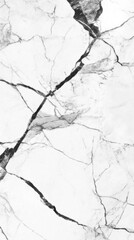 Fototapeta premium Elegant White Marble Texture with Dark Veins Close Up Shot for Backgrounds and Design Elements in Interior Design