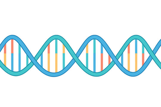 Colorful dna double helix rotating on transparent background seamless looping animation, perfect for science and medical videos