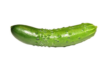 Fresh green cucumber lies on PNG background.