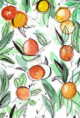 watercolor illustration of oranges on branches hand drawn with black pen