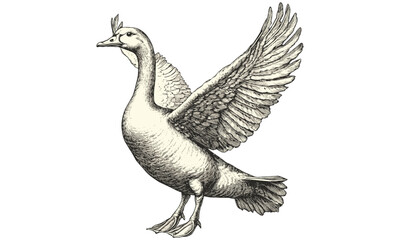 Rustic wildlife print in monochrome etching style, vintage goose engraving with wings spread, antique farm animal illustration, retro bird art, classic waterfowl sketch, natural history art