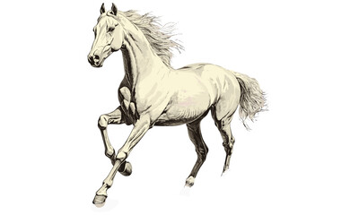 Monochrome Galloping Horse Illustration, Vintage Animal Engraving, Etching Style Sketch, Farm Ranch Wall Art, Hand-Drawn Retro Look, Rural Decor Print, classic country style