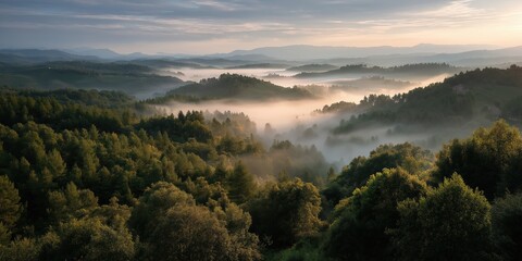 Breathtaking misty woodland landscape at sunrise with rolling hills and lush forest