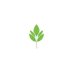 Leaf icon vector design template against a white background