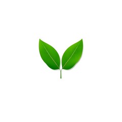 Fototapeta premium Leaf icon vector design template against a white background