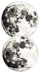 Obraz premium 月の二重奏