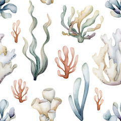 Sea plants. Seaweeds coral sponge. Watercolor hand painted summer seamless pattern on white background. Cute pastel kids