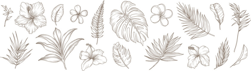 Collection of tropical flowers, branches and leaves. Hand drawn line art exotic plants. Vector elegant botanical illustration, sketch © Victory