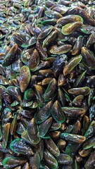 Pile of Green lipped mussels shellfish for sale at seafood stall at local supermarket in Manila Philippines