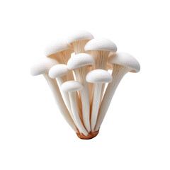 White shimeji mushrooms tightly bunched, clean stems and smooth caps, high detail and clarity, on transparent background