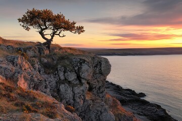 A lone tree stands on a rocky cliff overlooking a serene sunset over the ocean.