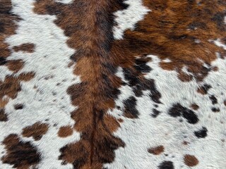peau de vache