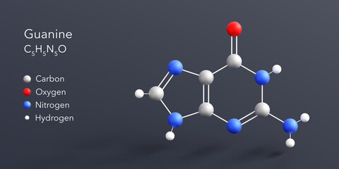guanine molecule 3d rendering, flat molecular structure with chemical formula and atoms color coding © Сергей Шиманович