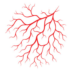 Human Vein Vector Symbol Illustration