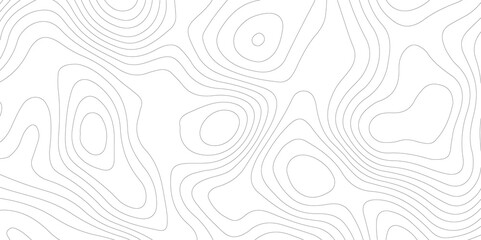 Abstract Topographic map background with wave line. White wave paper curved reliefs abstract background. Vector illustration. wave Line topography map contour background.