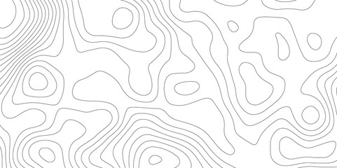 Abstract Topographic map background with wave line. White wave paper curved reliefs abstract background. Vector illustration. wave Line topography map contour background.