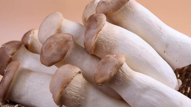 Eryngii Mushroom in a basket
