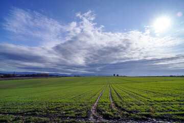 北海道　美瑛高原