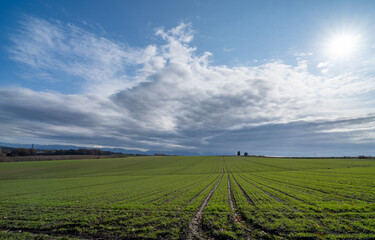 北海道　美瑛高原