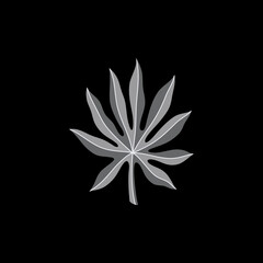 Leafy Artistry: A detailed close-up of a solitary leaf, highlighting its intricate patterns and textures with a monochrome palette, against a dark background.