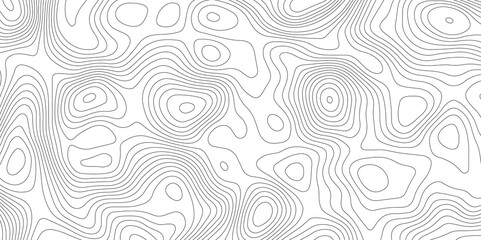 Abstract Topographic map background with wave line. White wave paper curved reliefs abstract background. Vector illustration. wave Line topography map contour background.