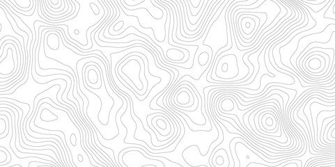 Abstract Topographic map background with wave line. White wave paper curved reliefs abstract background. Vector illustration. wave Line topography map contour background.