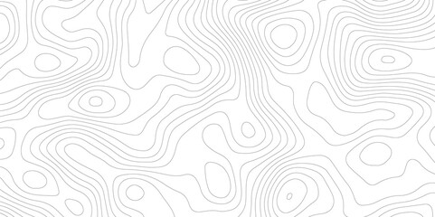 Abstract Topographic map background with wave line. White wave paper curved reliefs abstract background. Vector illustration. wave Line topography map contour background.