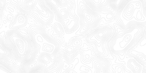 Abstract Topographic map background with wave line. White wave paper curved reliefs abstract background. Vector illustration. wave Line topography map contour background.