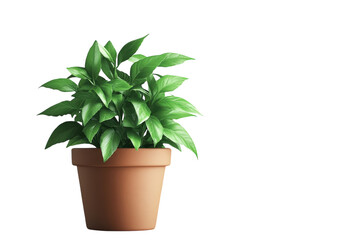 Obraz premium A lush vibrant plant flourishes in a terracotta pot symbolizing growth and new beginnings on transparent background